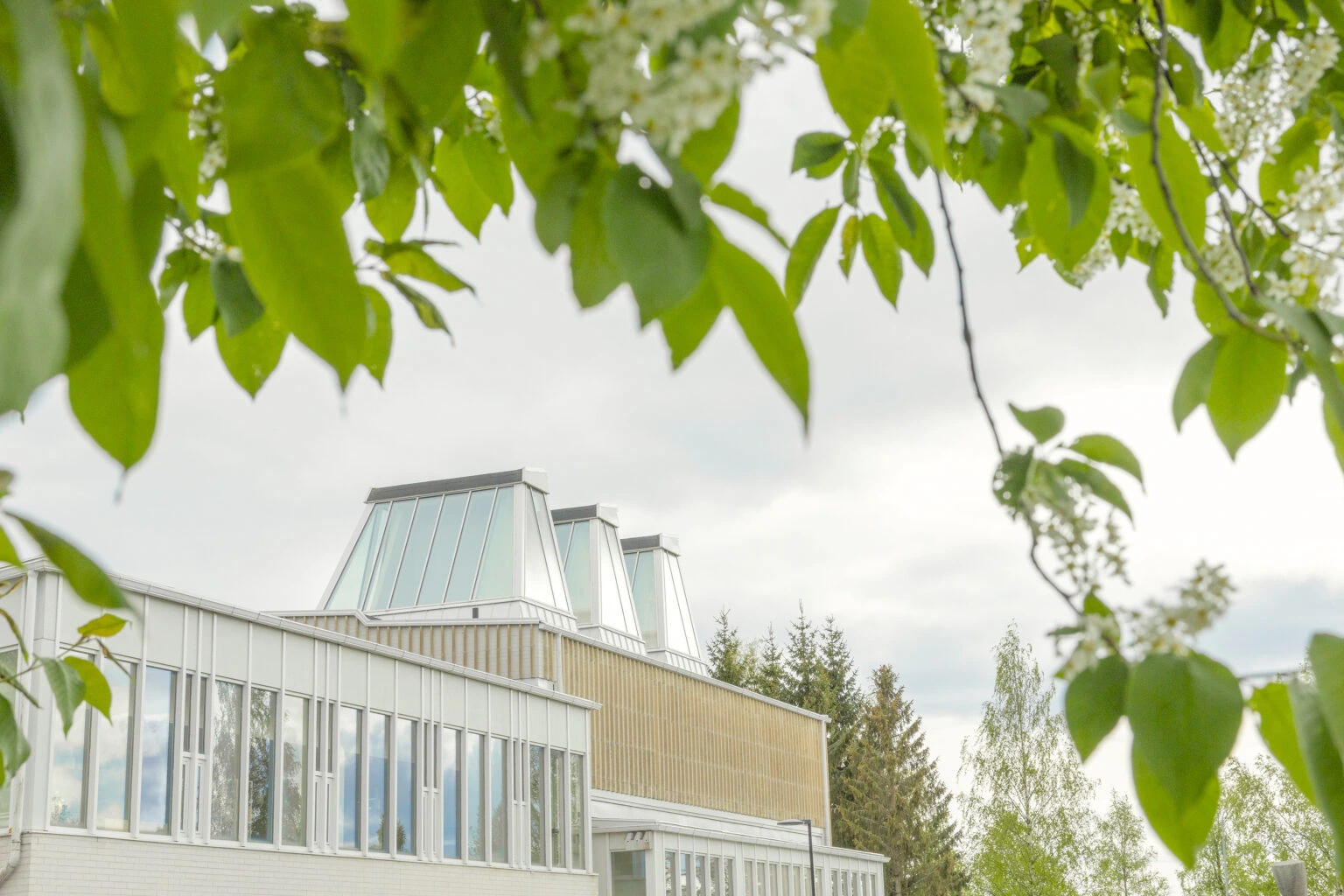 Seitsemän esitystä Vuoden museopedagoginen teko -kilpailun finaaliin